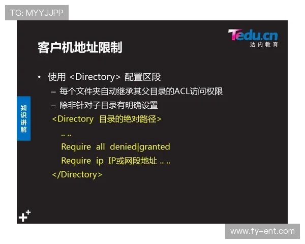 访问pgo官网的最佳途径与注意事项，确保用户安全便捷地获取所需资源